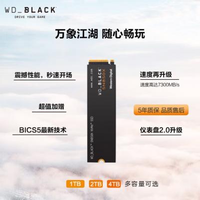 WDS400T2X0E – фото 6