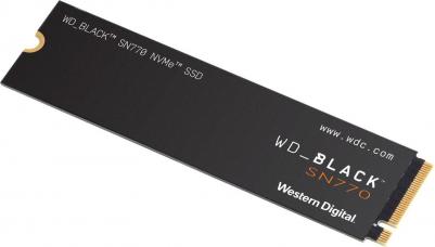 WDS500G3X0E – фото 6