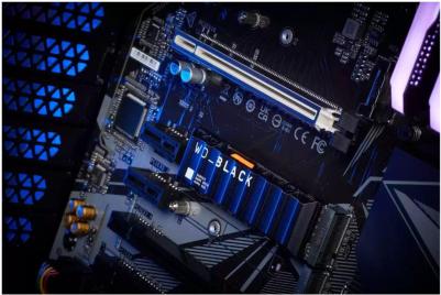 WDS800T2XHE – фото 5