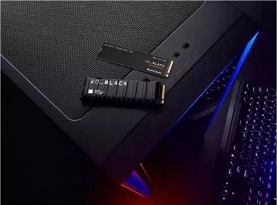 WDS800T2XHE – фото 6