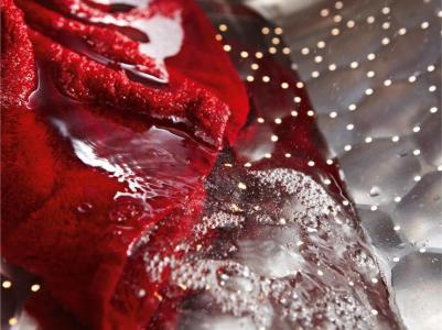 WTD160 WCS – фото 7