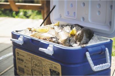 2000-10 – фото 1