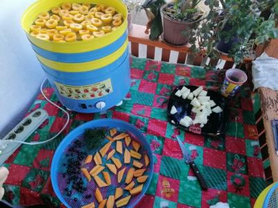 СУ-1 – фото 4