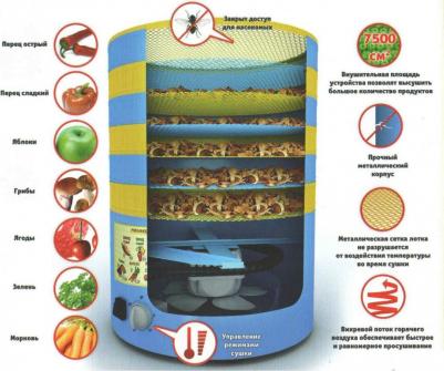 СУ-1 – фото 18