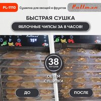 PL-1110 – фото 1