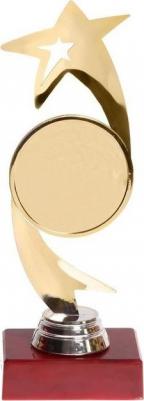 Кубок "Звезда", золото – фото 1
