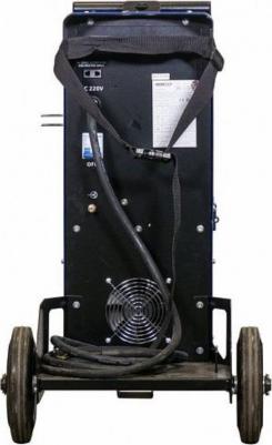 SKYWAY 250 – фото 13