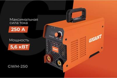 GWM-250 – фото 6