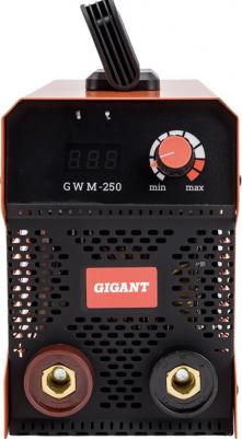 GWM-250 – фото 7