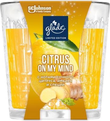 Свеча ароматическая в стакане Citrus 130 г