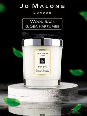 Для дома Свеча ароматная Wood Sage & Sea Salt Home Candle – фото 1