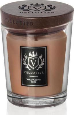 Свеча средняя Дикий кедр 225гр / Wild Cedar Tree