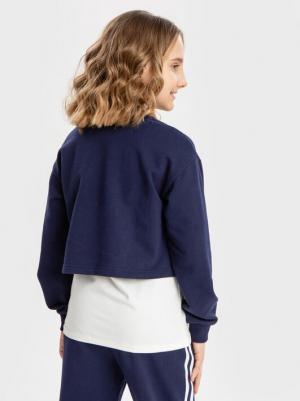 Толстовка нераспашная с лампасами синяя (164) – фото 1