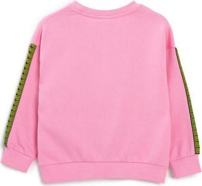 Толстовка с лампасами и принтом розовая (104) – фото 5