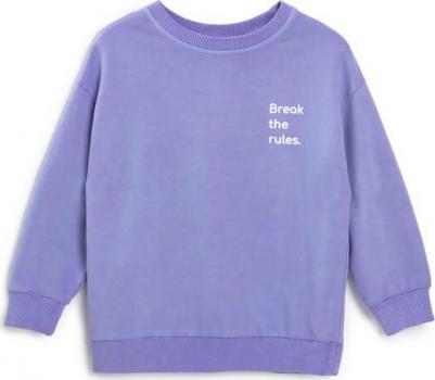 Толстовка, средней длины, размер 104, фиолетовый – фото 1