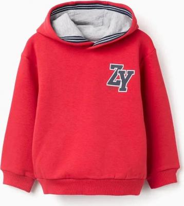 Детская толстовка для мальчика с капюшоном и флисовой подкладкой, красный