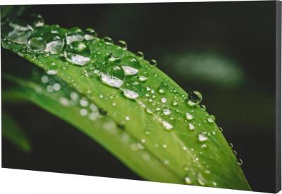 LS490UCM-UF – фото 4