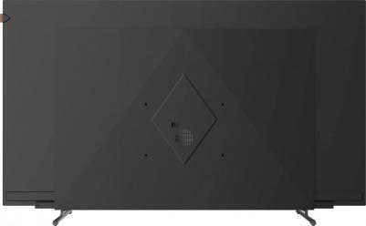 PRO OLED 55M – фото 12