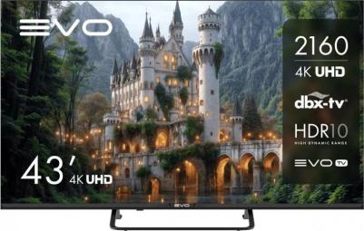 TV 43 (TD0051752RU)