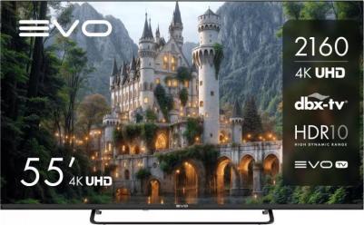 TV 55 (TD0051754RU)