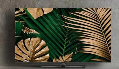 65 NANO QLED GH 8700 – фото 4