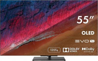 55 OLED S9 Pro – фото 12
