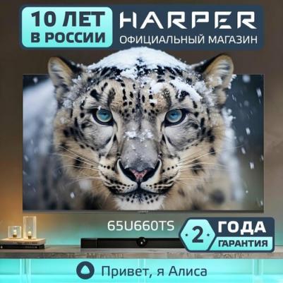 65U660TS – фото 3