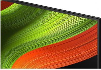 OLED65B5RLA – фото 18
