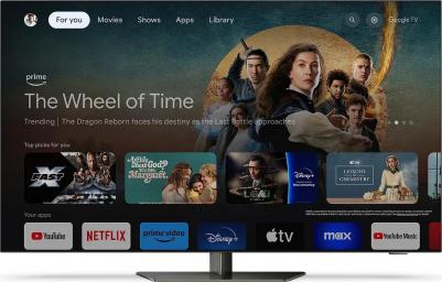 65OLED819 – фото 15