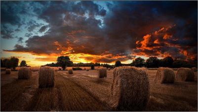 VM46B-U – фото 4