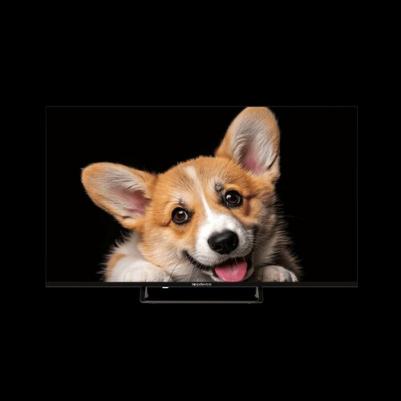 TDTV43CS03U_BK – фото 4