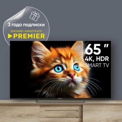 TDTV65CS05U_BK – фото 9