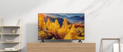 TV 4S 55 – фото 18