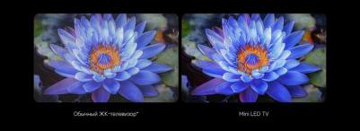 TV S Mini LED 55 2025 – фото 15
