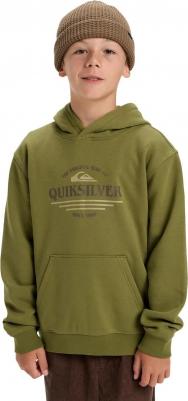 Детская толстовка с графикой, зеленый