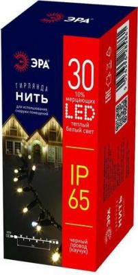 ERAPS-NK3 Гирлянда ERAPS-NK3 светодиодная новогодняя нить 3 м тёплый свет 100 LED, цена за 1 шт – фото 2