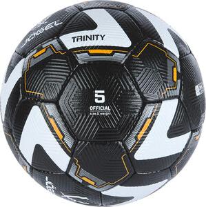 Мяч футбольный Trinity №5 – фото 1