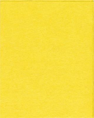 Салфетки хозяйственные вискоза 38х30 см желтые 5 штук в упаковке – фото 11