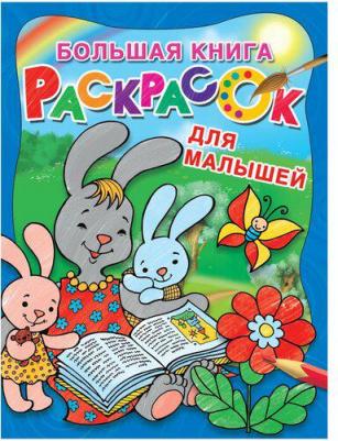 Раскраска Большая книга раскрасок для малышей голубой – фото 1