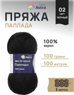 Пряжа 'Паллада', 100 г, 100 м (100% акрил) (02 черный), 3 мотка – фото 1