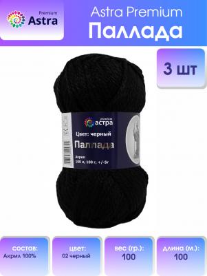 Пряжа 'Паллада', 100 г, 100 м (100% акрил) (02 черный), 3 мотка – фото 2