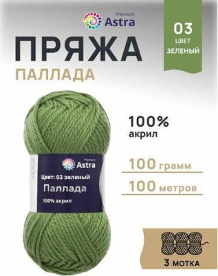 Пряжа 'Паллада', 100 г, 100 м (100% акрил) (03 зелёный), 3 мотка