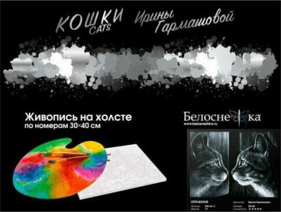 Раскраска по номерам Отражение 404-BA-C – фото 1