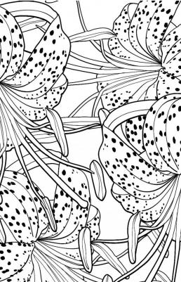 Зачарованный сад. Мини-раскраска-антистресс – фото 1