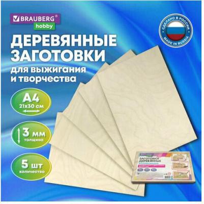 Заготовки для творчества, деревянные, без рисунков, 5 штук, 21 х 30 см – фото 11