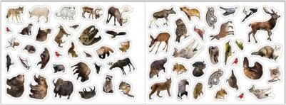 Набор книг 100 наклеек "Изучаем животных", 3 шт. по 12 стр – фото 3