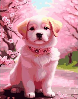 S060 - Набор для рисования по номерам 'Нежность', 40*50см