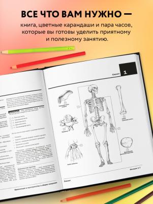 Анатомия Неттера: Атлас-Раскраска – фото 1