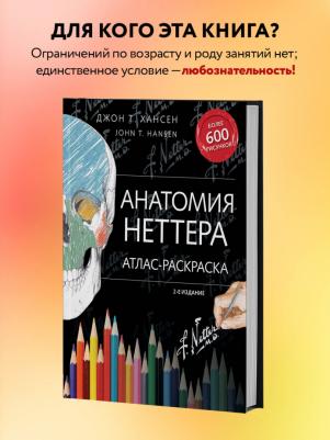 Анатомия Неттера: Атлас-Раскраска – фото 2