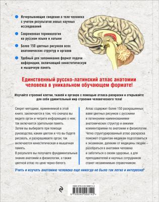 Билич Габриэль Лазаревич, Зигалова Елена Юрьевна. Анатомия: русско-латинский атлас-раскраска – фото 2